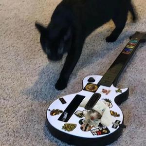 MarleyBrinx最惊艳的10个角色
